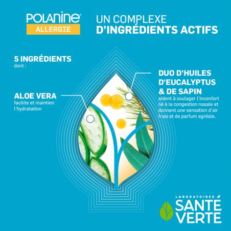 Santé Verte Polanine Spray Allergie - Paramarket.com