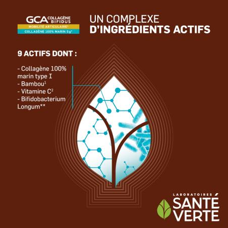 Santé Verte GCA Collagène Bifidus - Paramarket