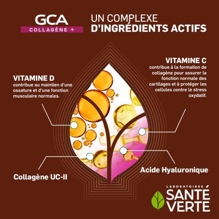 Santé Verte GCA Collagène + - Paramarket.com