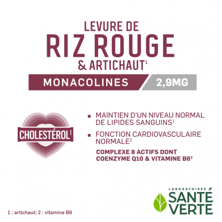 Santé Verte Levure de riz rouge & Artichaut - Paramarket