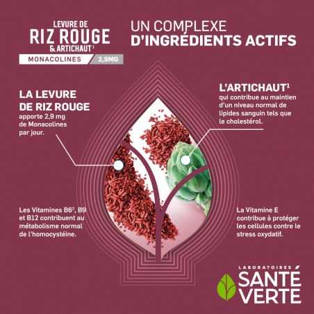 Santé Verte Levure de riz rouge & Artichaut - Paramarket