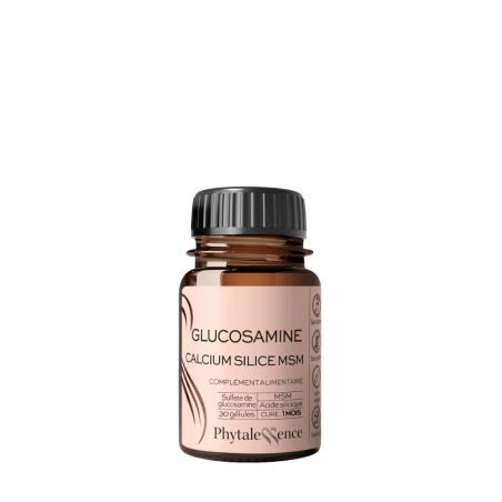 Phytalessence Glucosamine Calcium Silice MSM Gélules - Paramarket